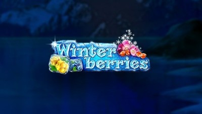 Winterberries